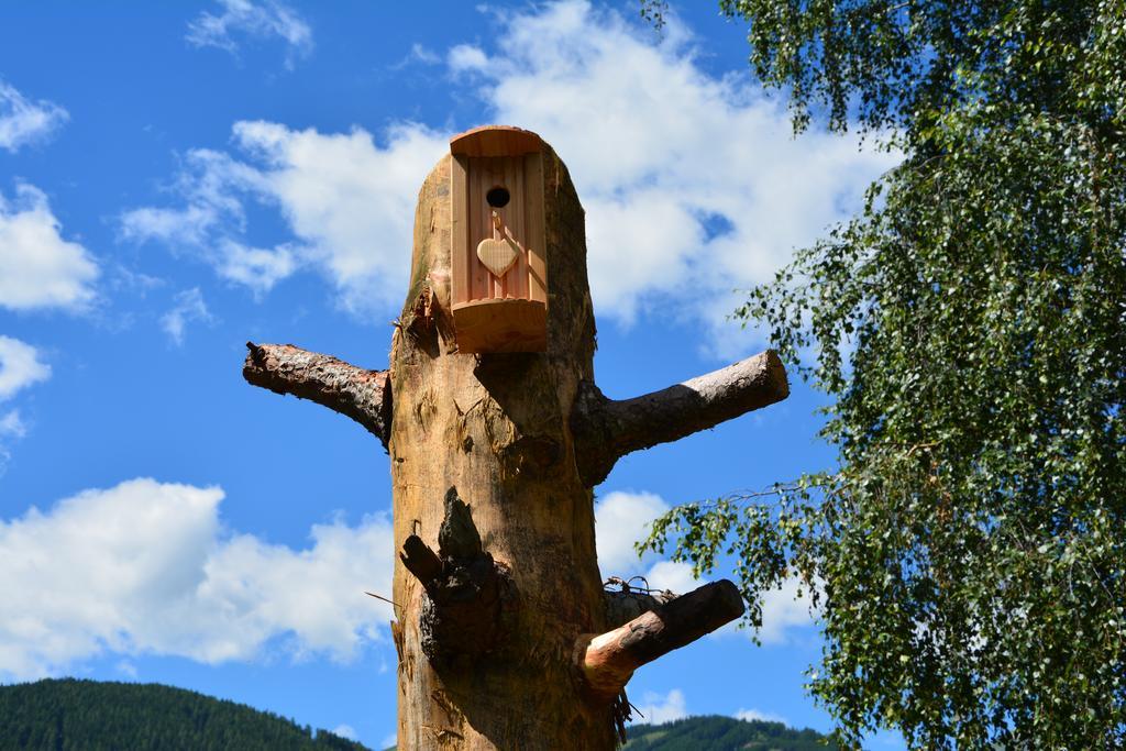 Haus Santorum Sankt Michael im Lungau Dış mekan fotoğraf